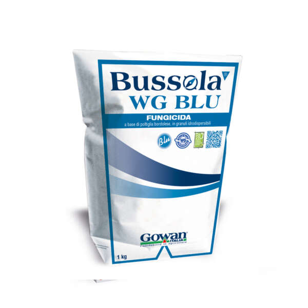 Bussola WG Blu