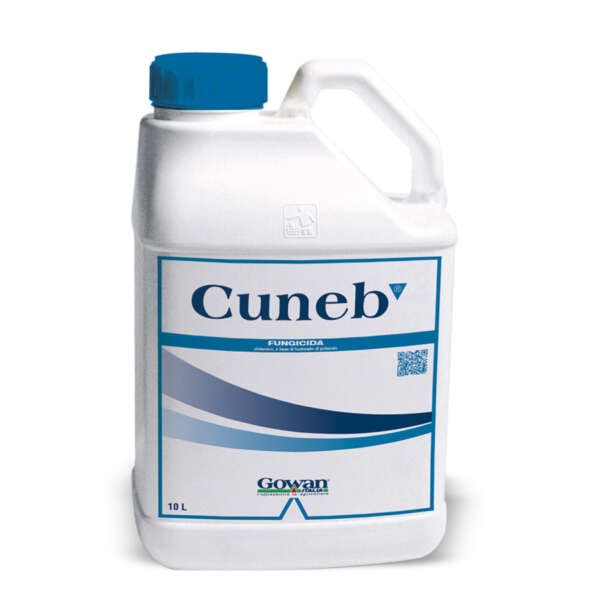 Cuneb