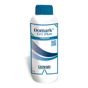 Domark 125 Plus