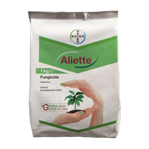 Aliette WG