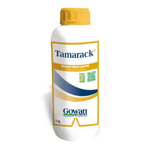 Tamarack Biostimolante ad azione specifica su pianta