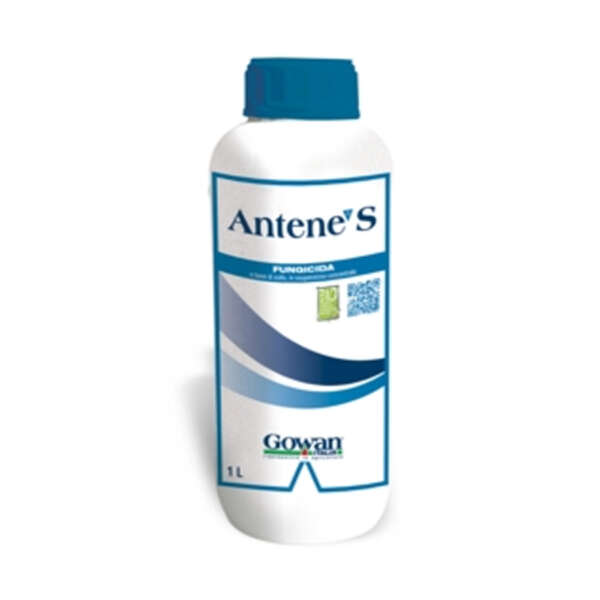 Antene S antioidico