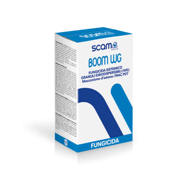 Boom WG fungicida sistemico