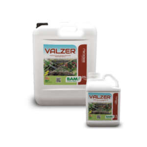 Valzer biostimolante a base di alghe melasso