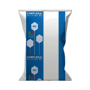 Complesal 20.10.10 Esse