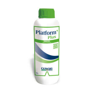 Platform Plus 12
