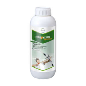 Previcur energy fungicida sistemico