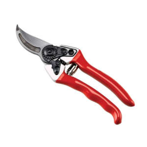 Forbice AUSONIA da Vigna Professionale Forgiata cm.21