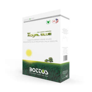 Royal Blue sementi bottos